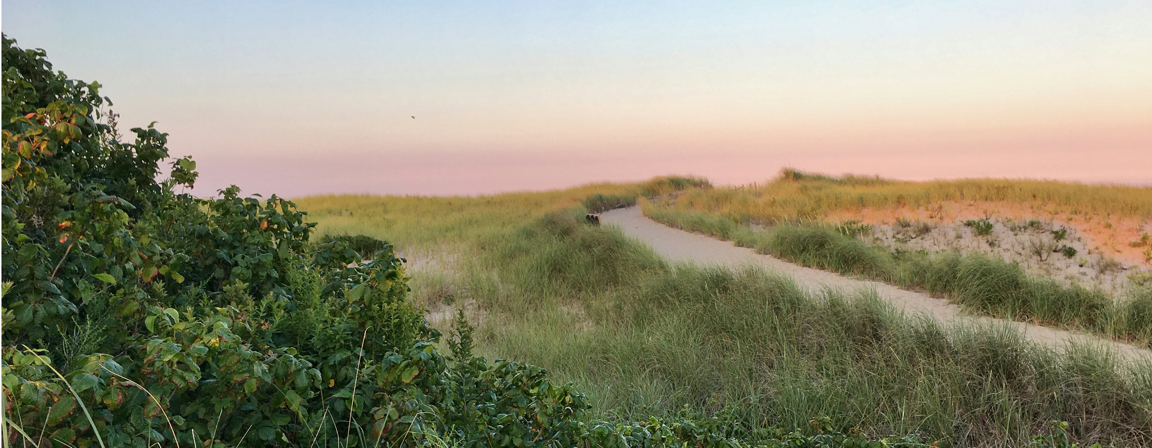 Garden Party Table Setting Made Easy