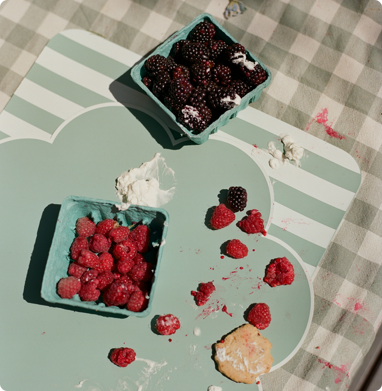 Sally Splash | Elegant Dinnerware