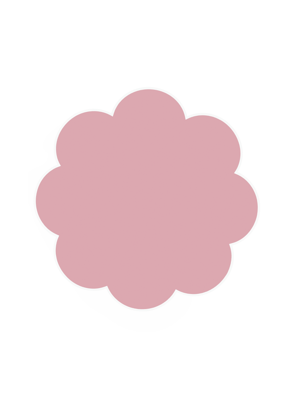 Sally Floral Placemat (set of 4) in Blush