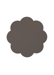 Sally Floral Placemat (set of 4) in Brownstone